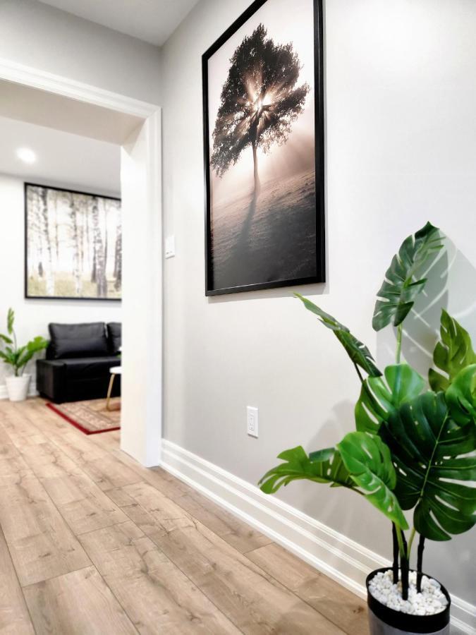 The Cozy Cove Modern King-Bedroom Full Apartment Saint Catharines ภายนอก รูปภาพ